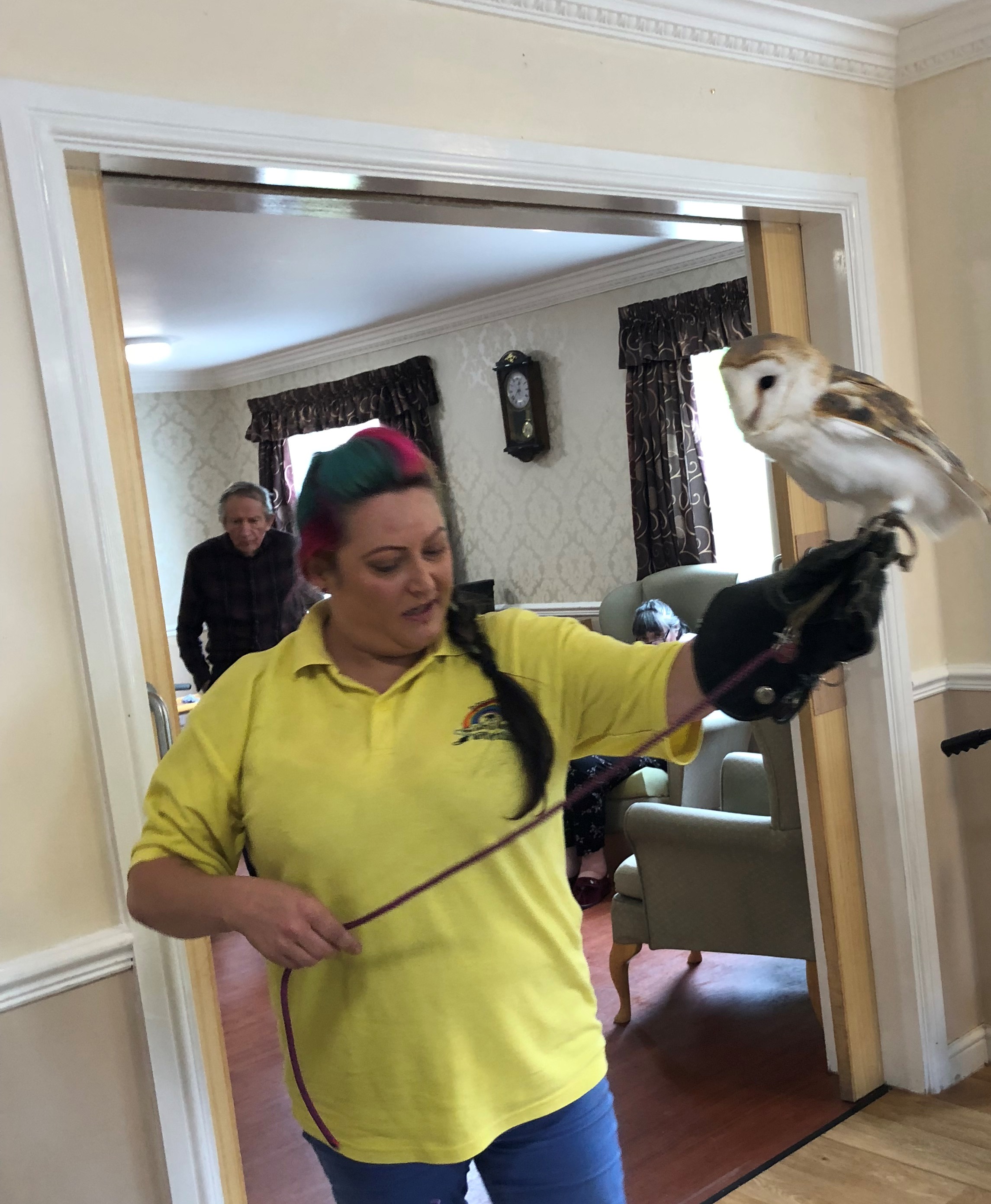 Crazy Creatures Barn Owl: Key Healthcare is dedicated to caring for elderly residents in safe. We have multiple dementia care homes including our care home middlesbrough, our care home St. Helen and care home saltburn. We excel in monitoring and improving care levels.